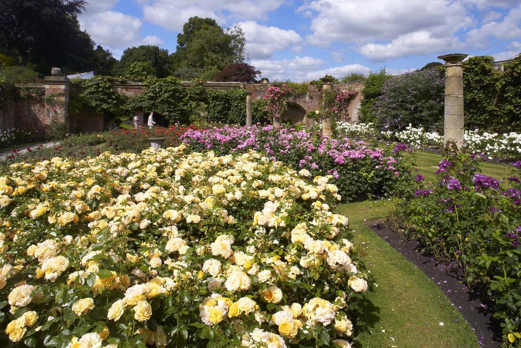Hever Castle Luxury Bed And Breakfast Edenbridge Ngoại thất bức ảnh